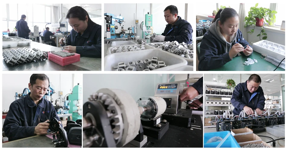 Lead Fluid Industrial Peristaltic Pump WG600F with YZ35 10ml/min to 13L/min large flow rate