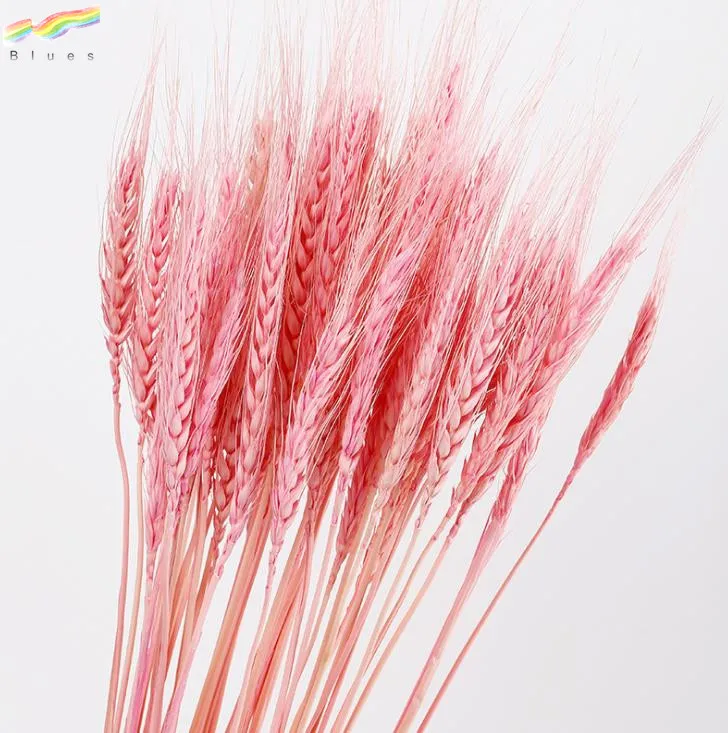 Dried Wheat Stalks Wheat Grass Bouquet Bundle Flower for DIY Home Table Wedding