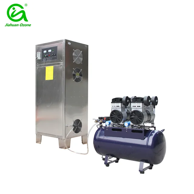 100g water treatment equipement ozone generator for swimming pool