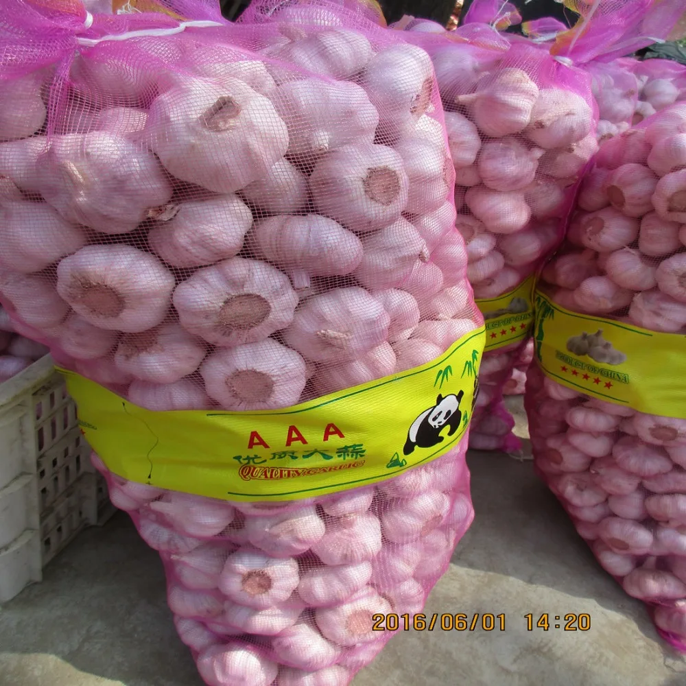 
Shandong pure white garlic 