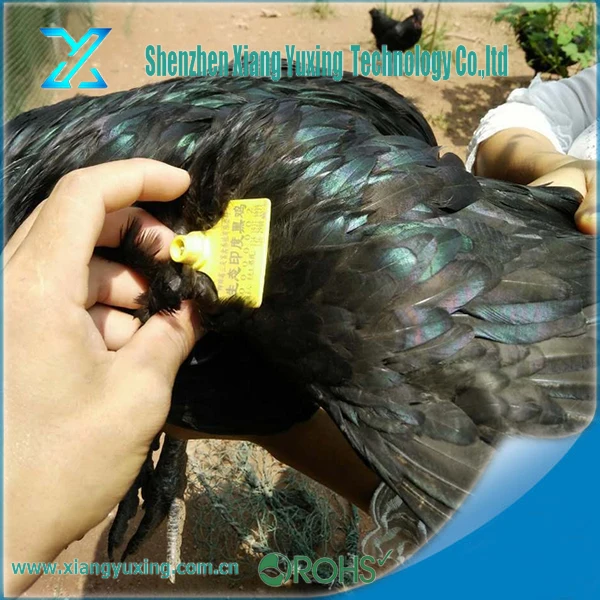 Крупного рогатого скота Овец управления Отслеживания UHF Чужеродных H3 тпу rfid животные ухо тег