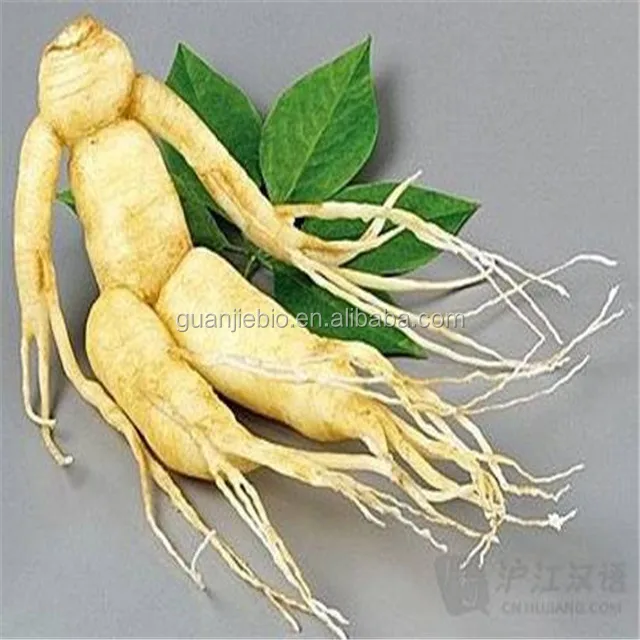 
100% Nature Product Panax Ginseng Root Extract Powder / Ginsenoside 4% 30% 80% by HPLC / UV 