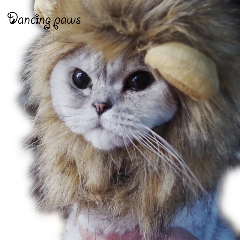 Wholesale Cat Lion Panda Mickey Mane Wig Cat Costume Hat Hair Cat Pet Puppy Cosplay Wig