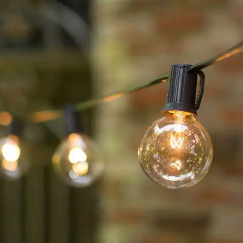 Manufacturer of Europe Black wire g40 globe string lights