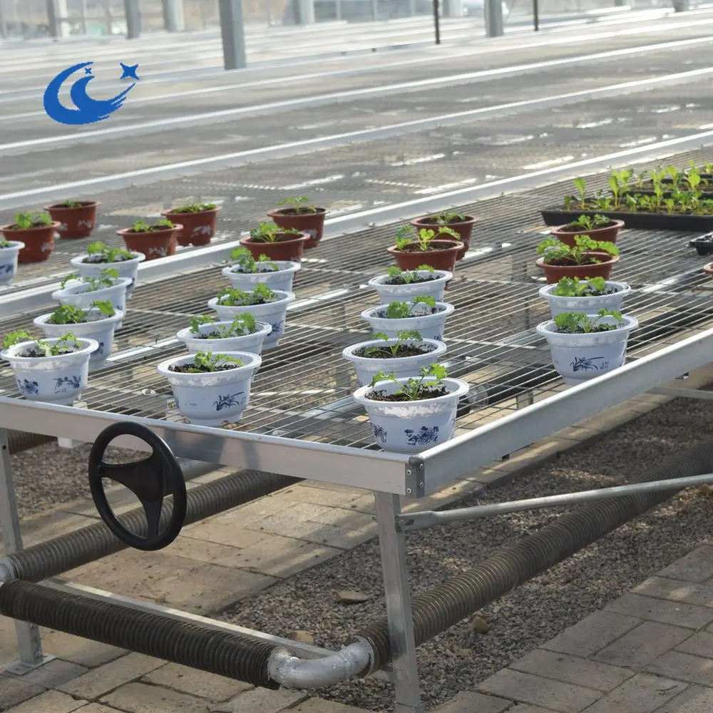 Greenhouse Steel Mesh Rolling Bench/Welded Mesh Tables(Max length 30m)