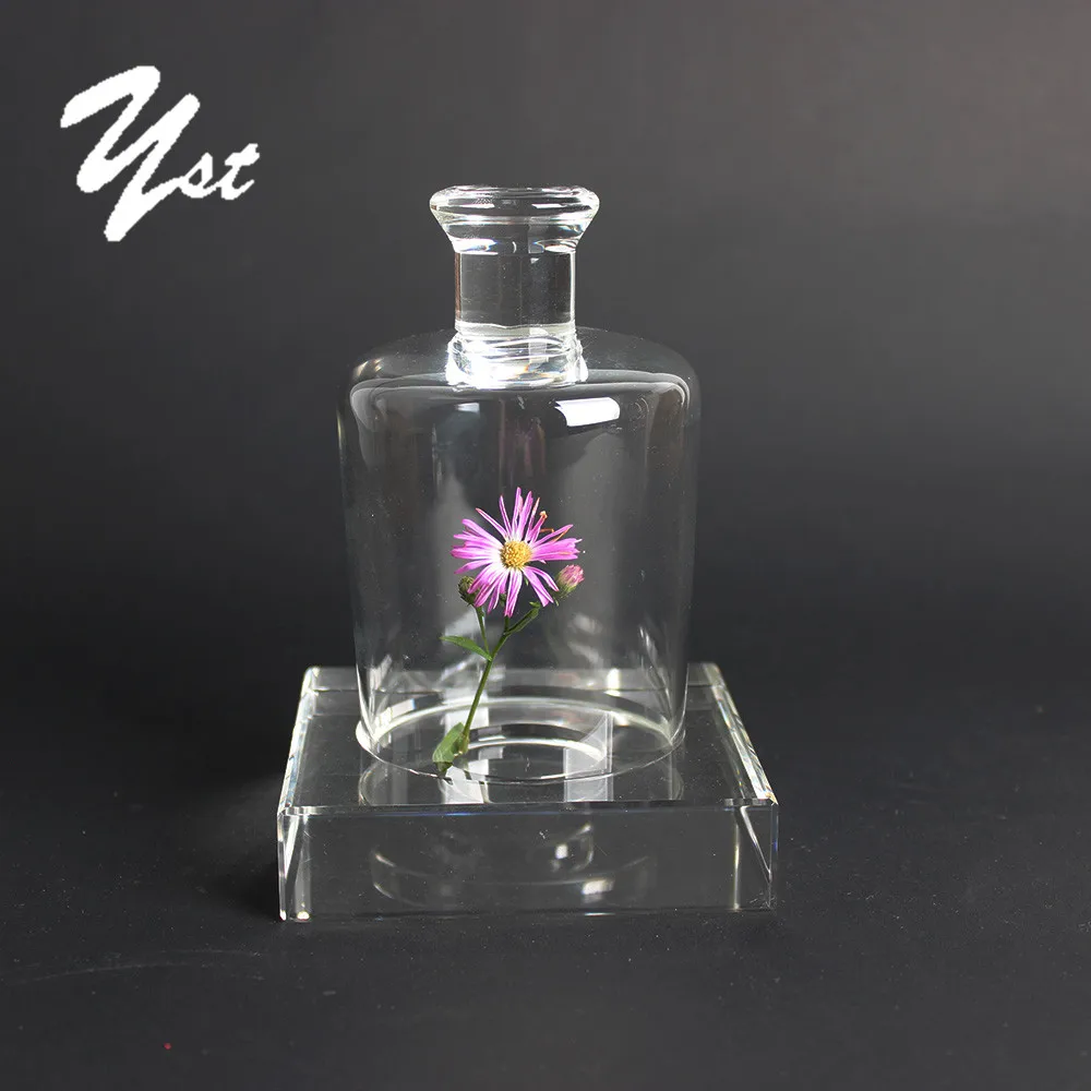 Консервированные колокольчики, прозрачные стеклянные куполообразные колпачки, декоративный стеклянный купол из боросиликатного стекла, оптовая продажа