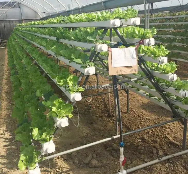 Large size hydroponic container farm plastic greenhouse hydroponic flood tray is scheduled polytunnel greenhouse