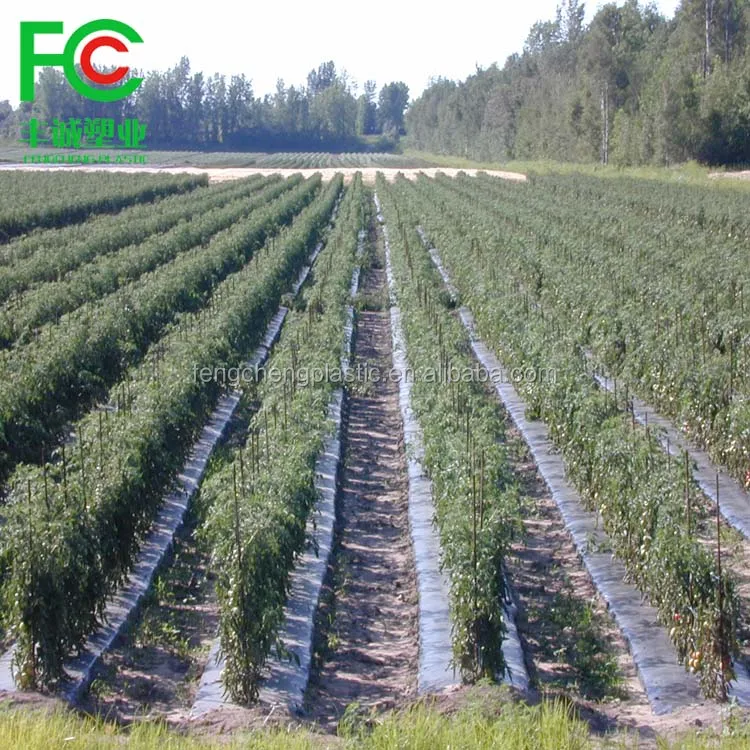 Черно-белая пластиковая mulch пленка/сельскохозяйственная анти-трава mulch/пользовательская большого размера пленка от китайского завода