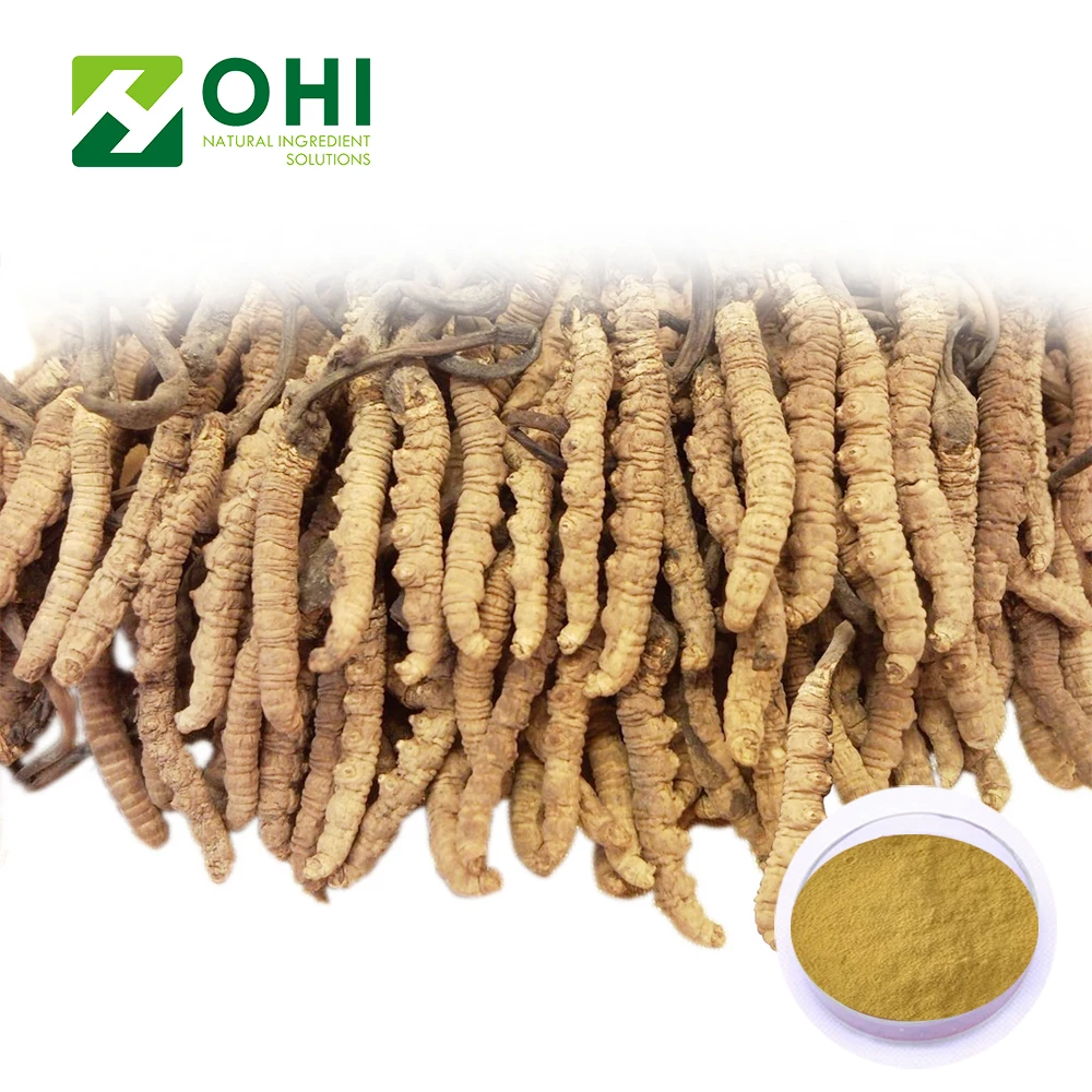 UV-VIS 20% 40% 50% Polysacharides Cordyceps Sinensis Extract GMP certificated factory Mycelium extract
