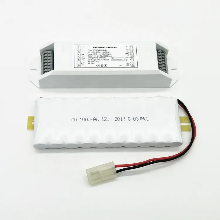 Emergency light conversion kit with external driver