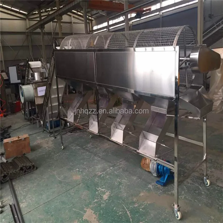 Rolling automatic garlic size sorter machine