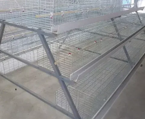 Efficient and durable chicken cage