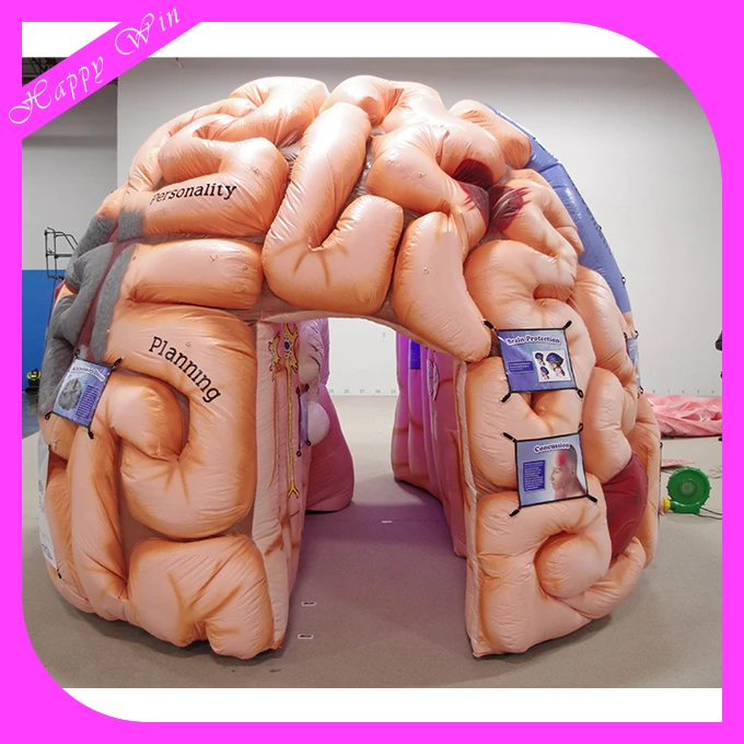 Attractive giant inflatable brain model customized inflatable organ brain model for display