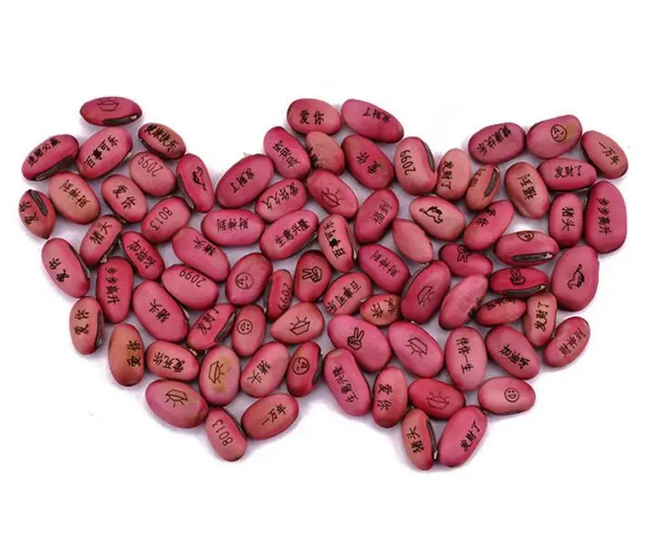 Customized Can Planted Magic Bean