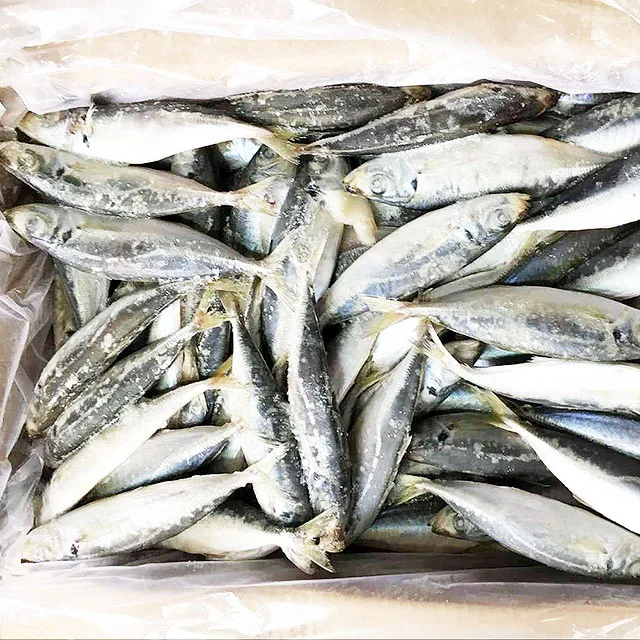 Высокое качество Замороженные Layang ставрида весь раунд