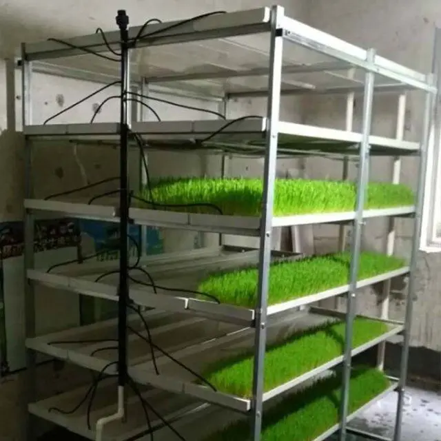 hydroponic fodder trays microgreen tray hydroponic equipment /hydroponic system