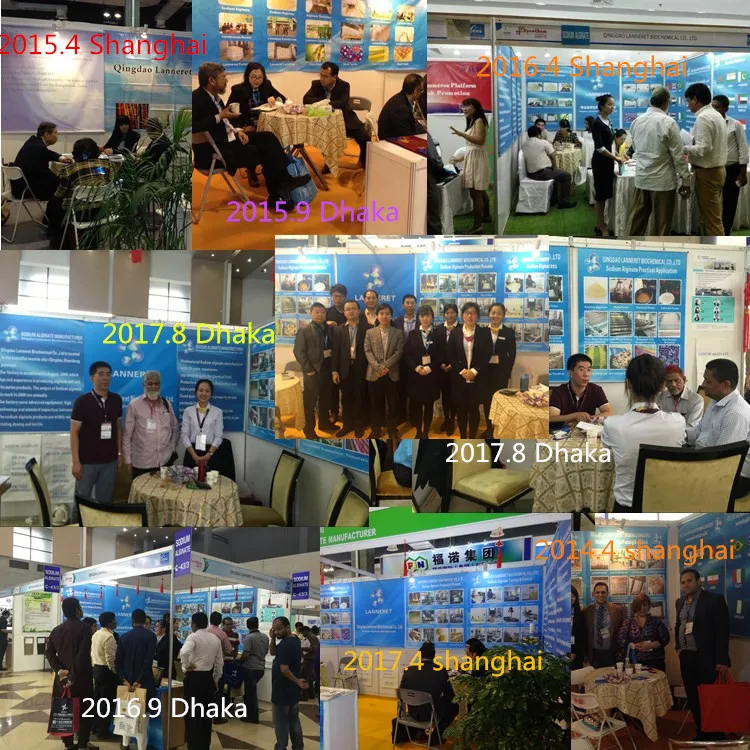 exhibiton.jpg