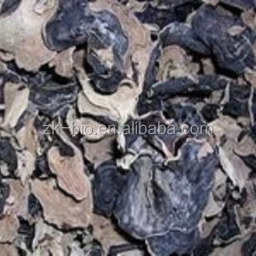 
Premium Chinese natural food black fungus 