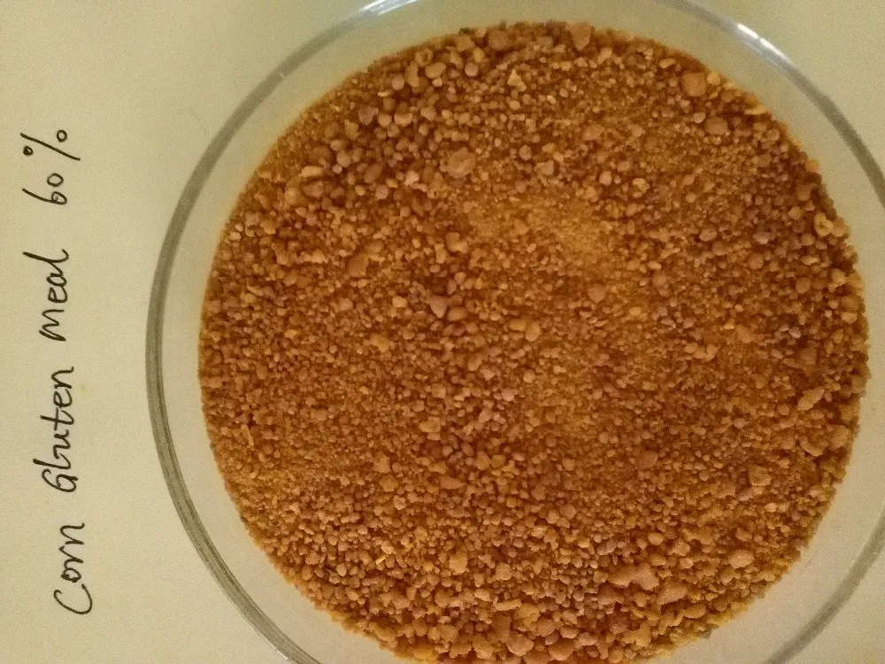 NON-GMO Оптовая торговля Китай кукурузная глютеновая мука/низкая цена крупного рогатого скота корма для продажи