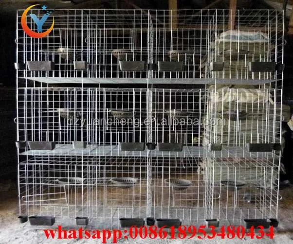 chicken cage quail cage design pigeon coops pigeon breeding cage for sale