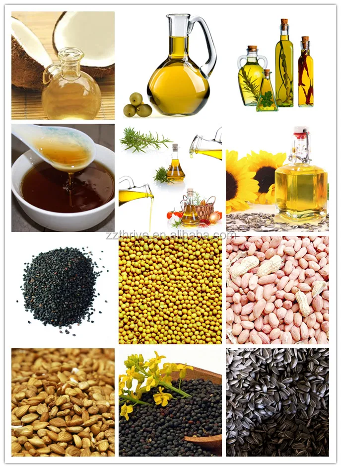 hot and cold Black Seed Oil Press Machine ,corn oil processing machine,corn oil plant