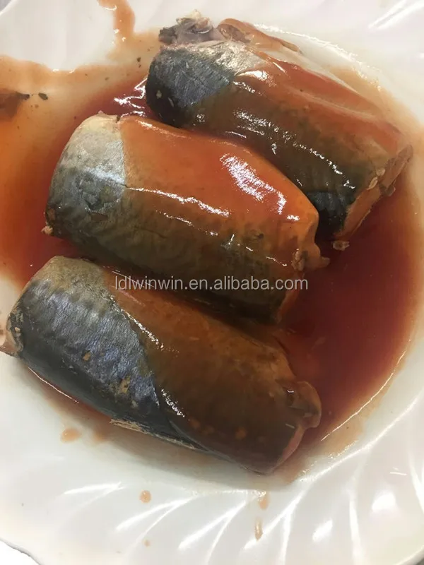 
425G CANNED SARDINE IN TOMATO SAUCE IN OVAL CAN FOR SOUTH AMERICA MARKET 