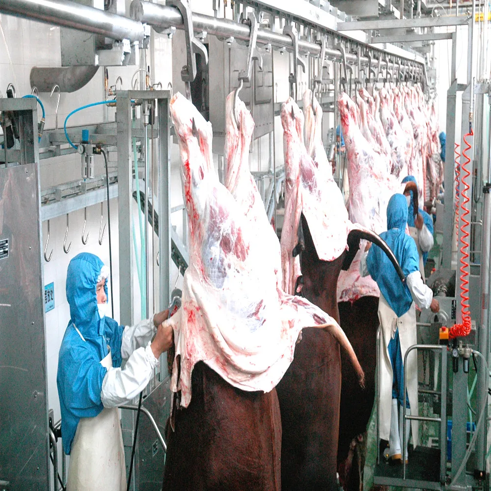 Cow Abattoir Machine Halal Slaughter Equipment Cattle Butcher Line for Meat Beef Production Processing
