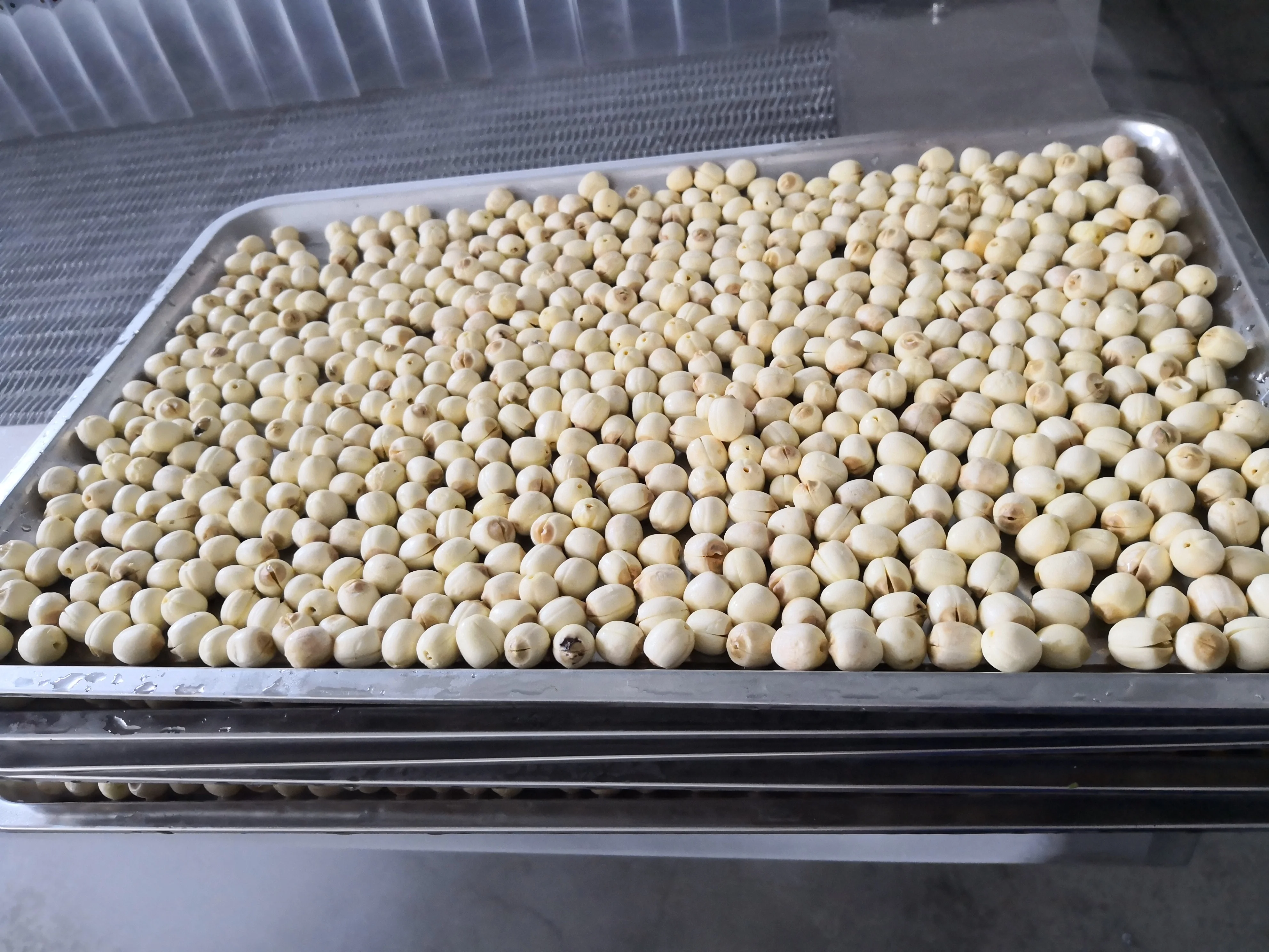 DJL iqf tunnel cooling equipment for lotus nuts/vegetables Dumplings quick iqf tunnel freezer for meatball freeze