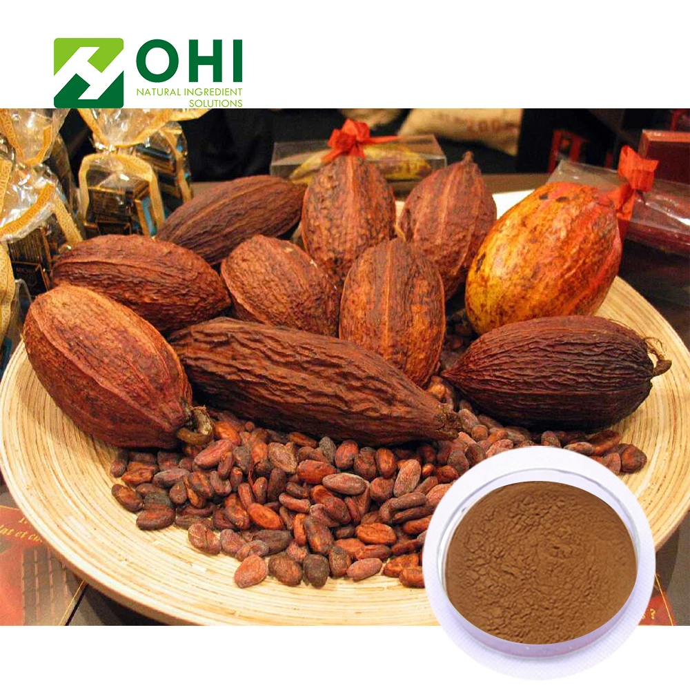 High Quality Cocoa Extract/Raw Organic Cocoa Powder/Black Cocoa Powder