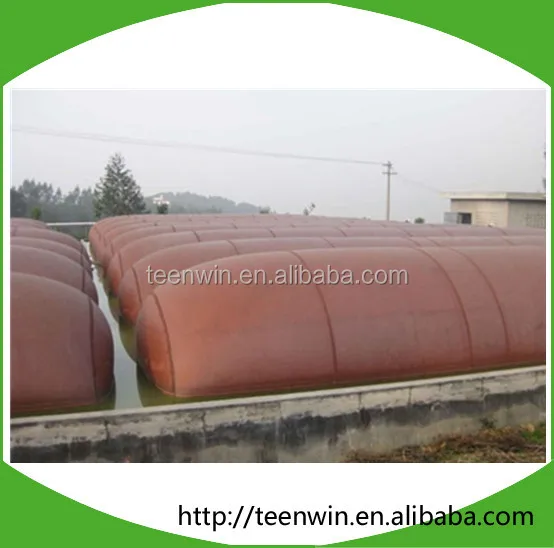 Teenwin 20m3 soft biogas/digester Plant for animal farm waste/stool treatment