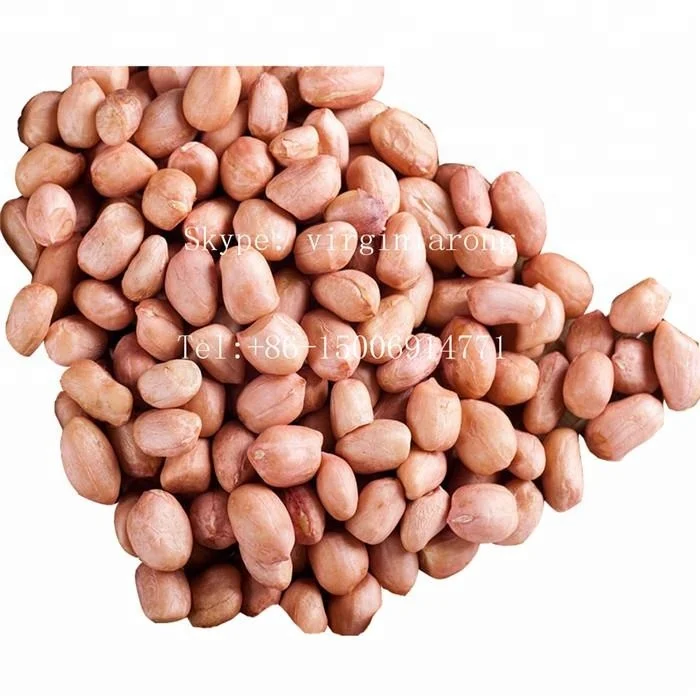 Wholesale raw organic blanched peanut for edible