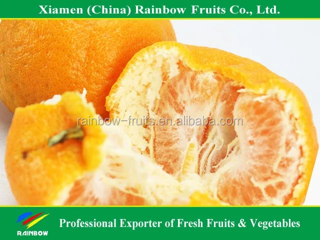 
yongchun ponkan mandarin for Russia & Bangladesh & Indonesia & Malaysia market 