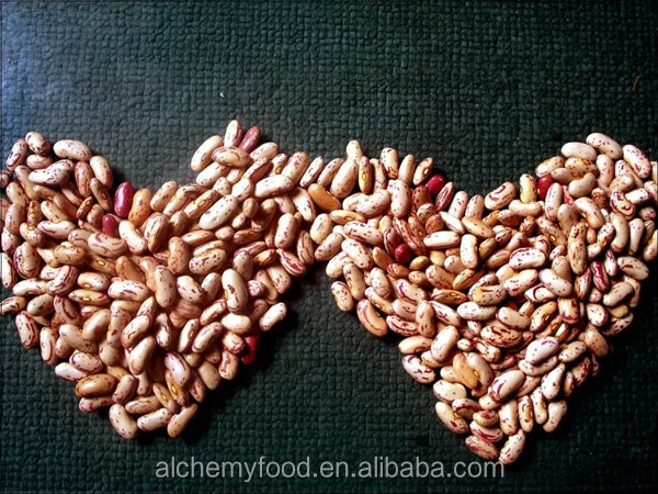 Высококачественная фасоль LSKB, сухая фасоль pinto bean