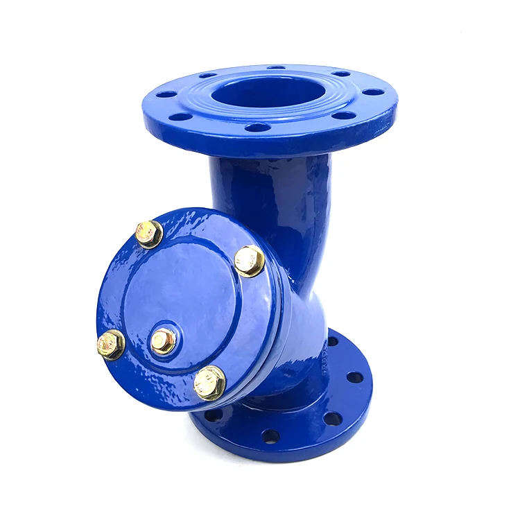 Y-Type Flange End Strainer