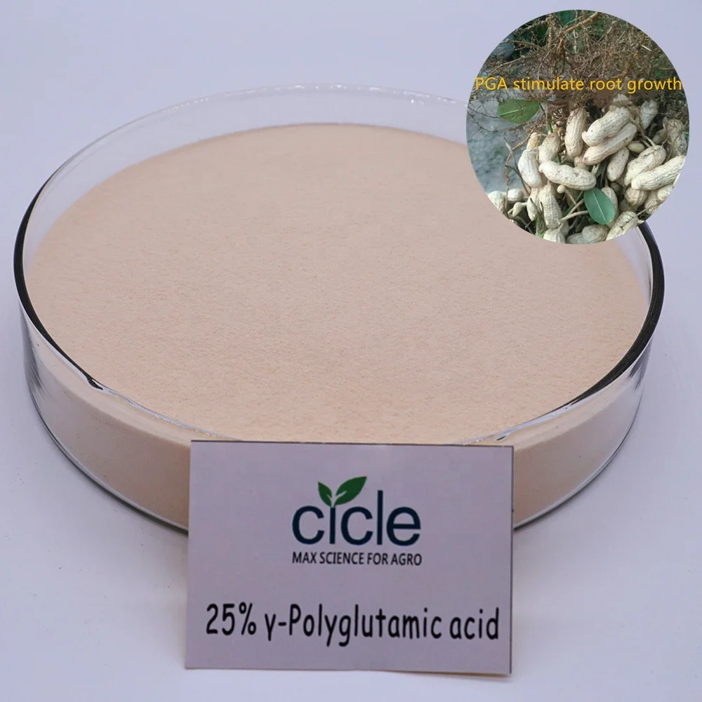 agricultural fertilizer No pollution to environment PGA polyglutamic acid