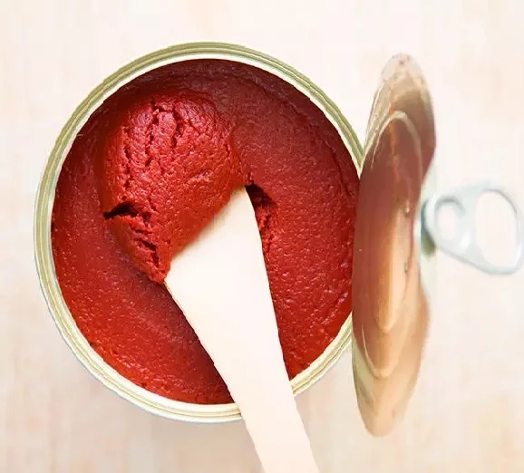 Dunhe Foods supply Hot Sell Canned Tomato Paste, Tomato Sauce, Tomato Ketchup