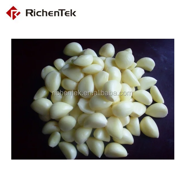 Richentek Garlic Processing Line Includes Garlic Separating Peeling Machine