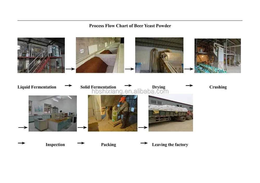 process flow chart of Beer YEAST Powder