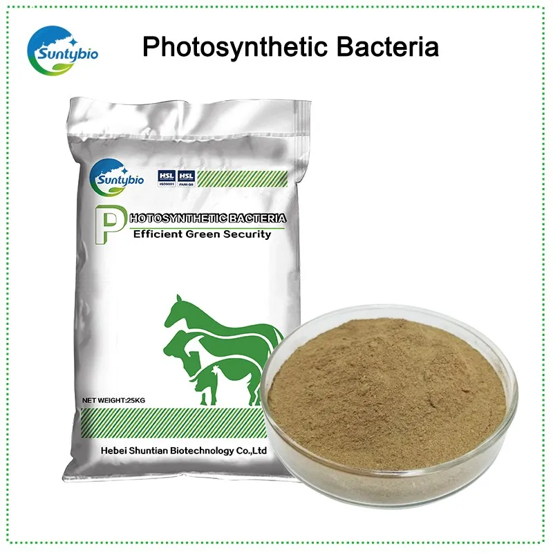 Photosynthetic Bacteria Rhodopseudomonas Palustris Somatomedin Carrie Probiotic PSB Liquird Or Powder China Supplier