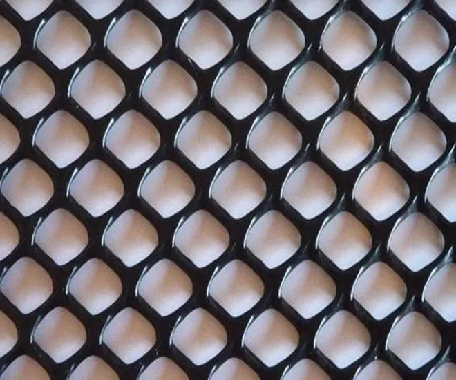 High Quality Lawn Protection MeshGrass Protection Plastic Mesh Net