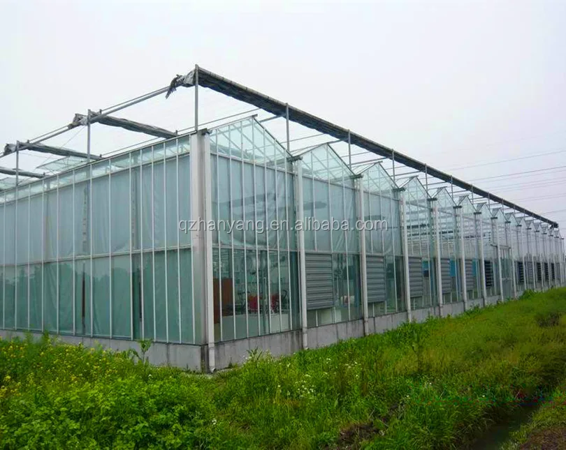 Glass/Polycarbonate Sheet Greenhouse As Ecological Restaurant