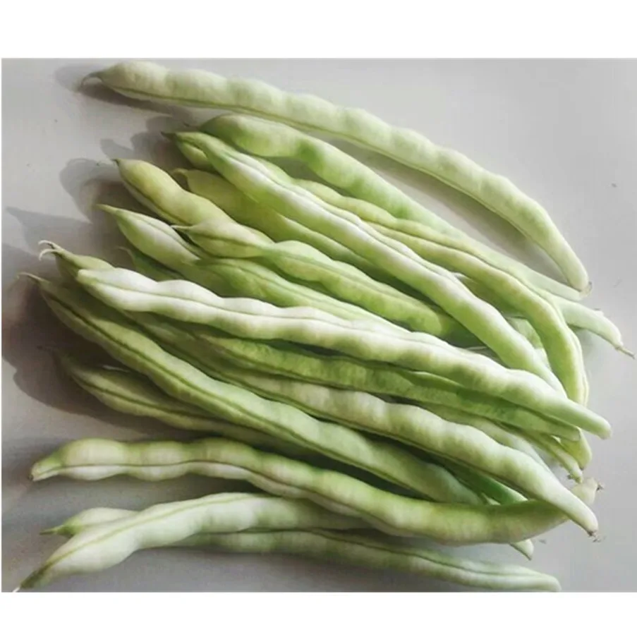 
vegetable seeds kidney beans seeds 