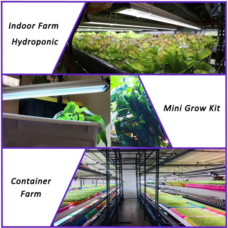 4FT EDK 48W t5 custom panel fanless hydroponic kits indoor plant full spectrum etl led grow light for hydroponics system