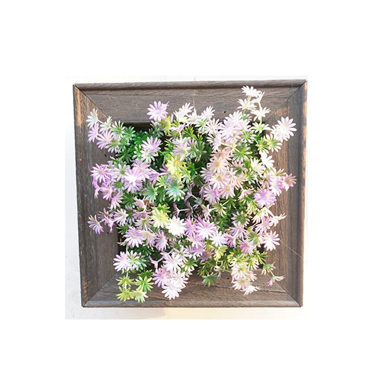 Fashion design home decor decorative succulent plant hanging wall photo plant plastic frame