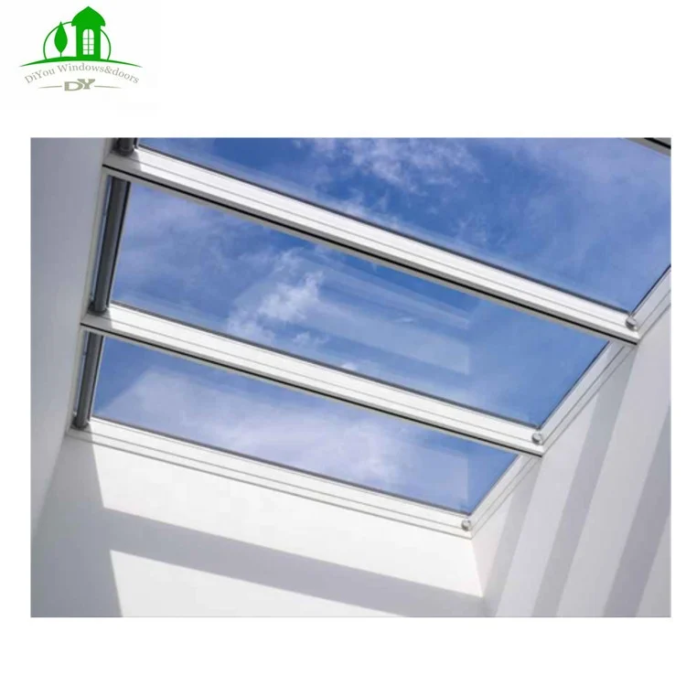china best factories roof skylight