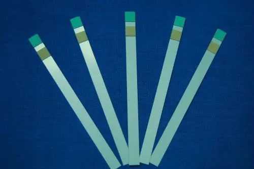 reagent strips for urine test