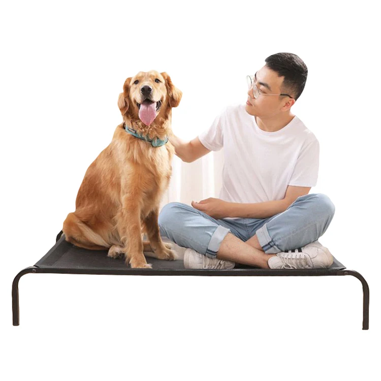 Indestructible plush pet cat metal frame elevated dog bed