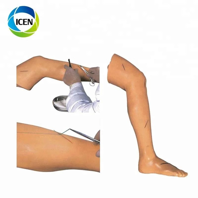 В-411 медицинская модель для обучения человеку улучшенная тренировочная ножка