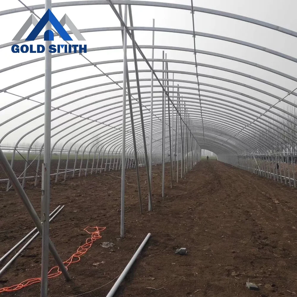 
Film Covering Low Cost Single Span Hydroponic Greenhouse for Sale 
