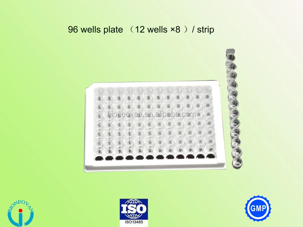 enzyme immunoassay Epstein Barr Virus VCA IgA EBV IgA ELISA test kit